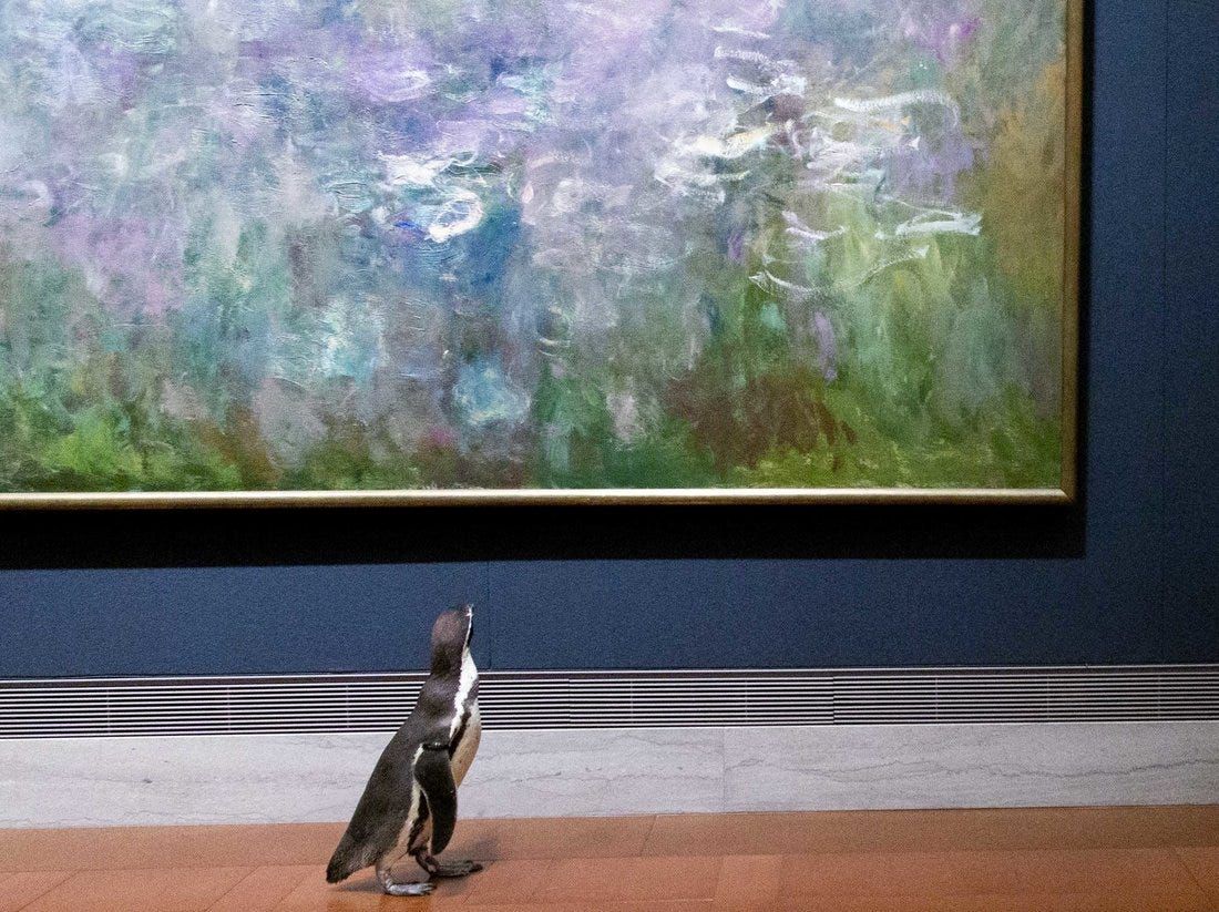 Missouri Penguins Enjoy Morning of Fine Art at Local Museum